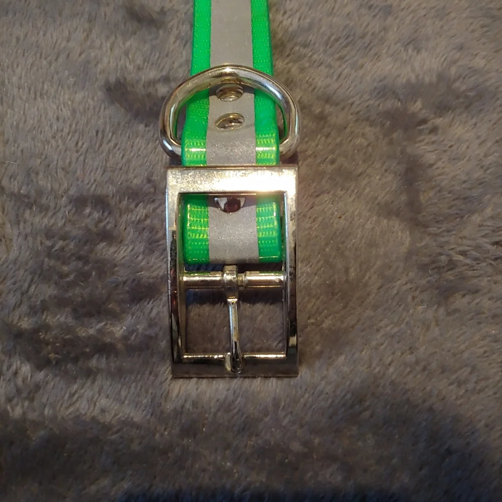Amazon reflective collar
